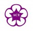 CÔNG TY CỔ PHẦN XÂY DỰNG ĐIỆN & TỰ ĐỘNG HÓA ACE - ACE CORP